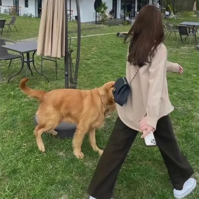 无处可逃