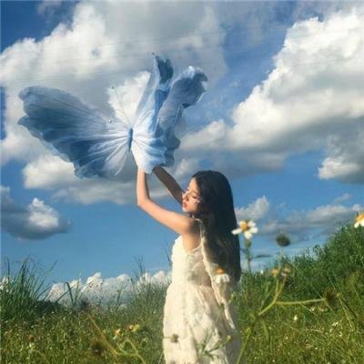 肥猫流浪记